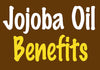 Uses and Benefits of Jojoba Oil